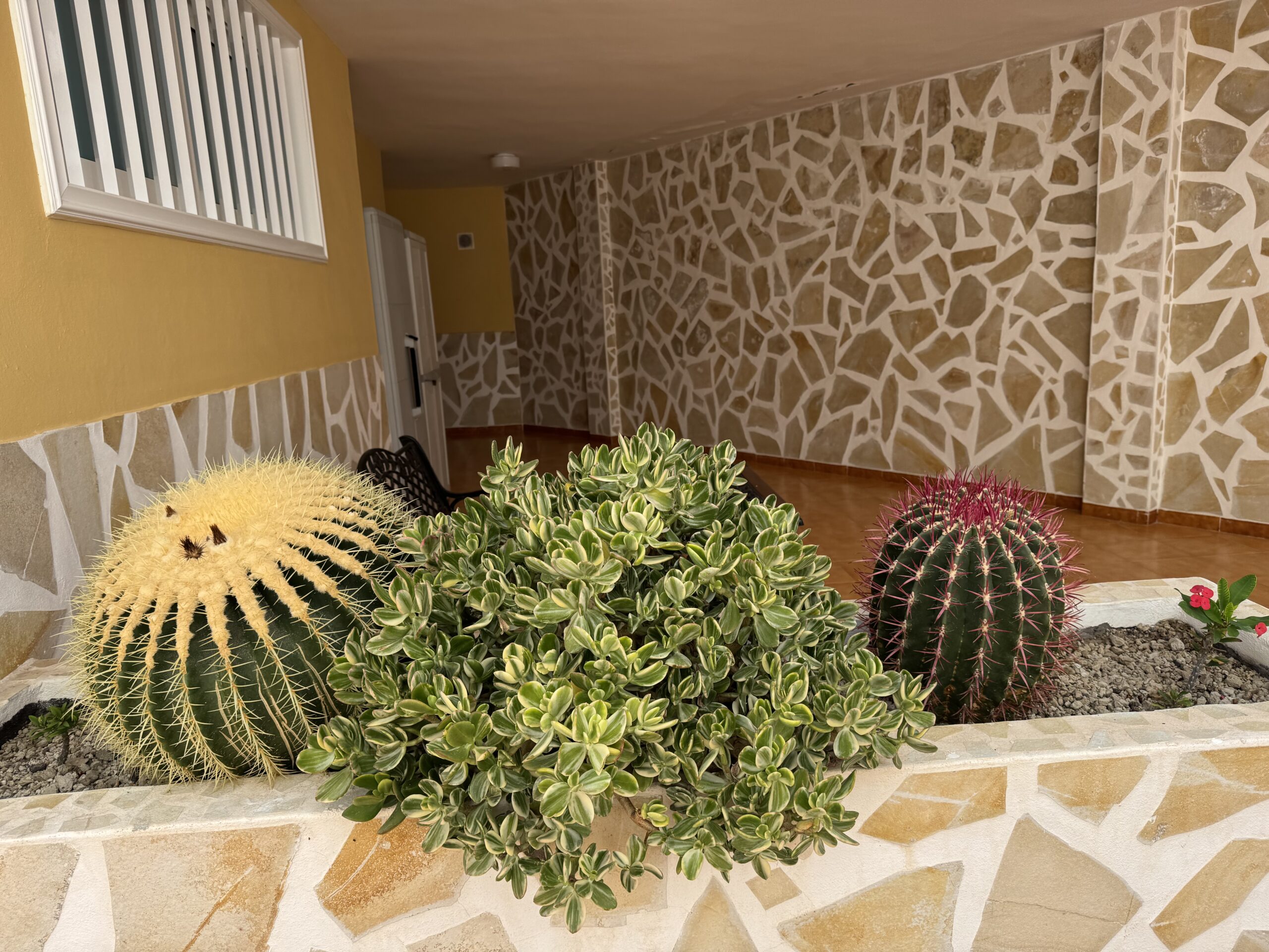 Steve Coster Fitness Apartment Balcony Steve Coster Fitness Apartment Balcony